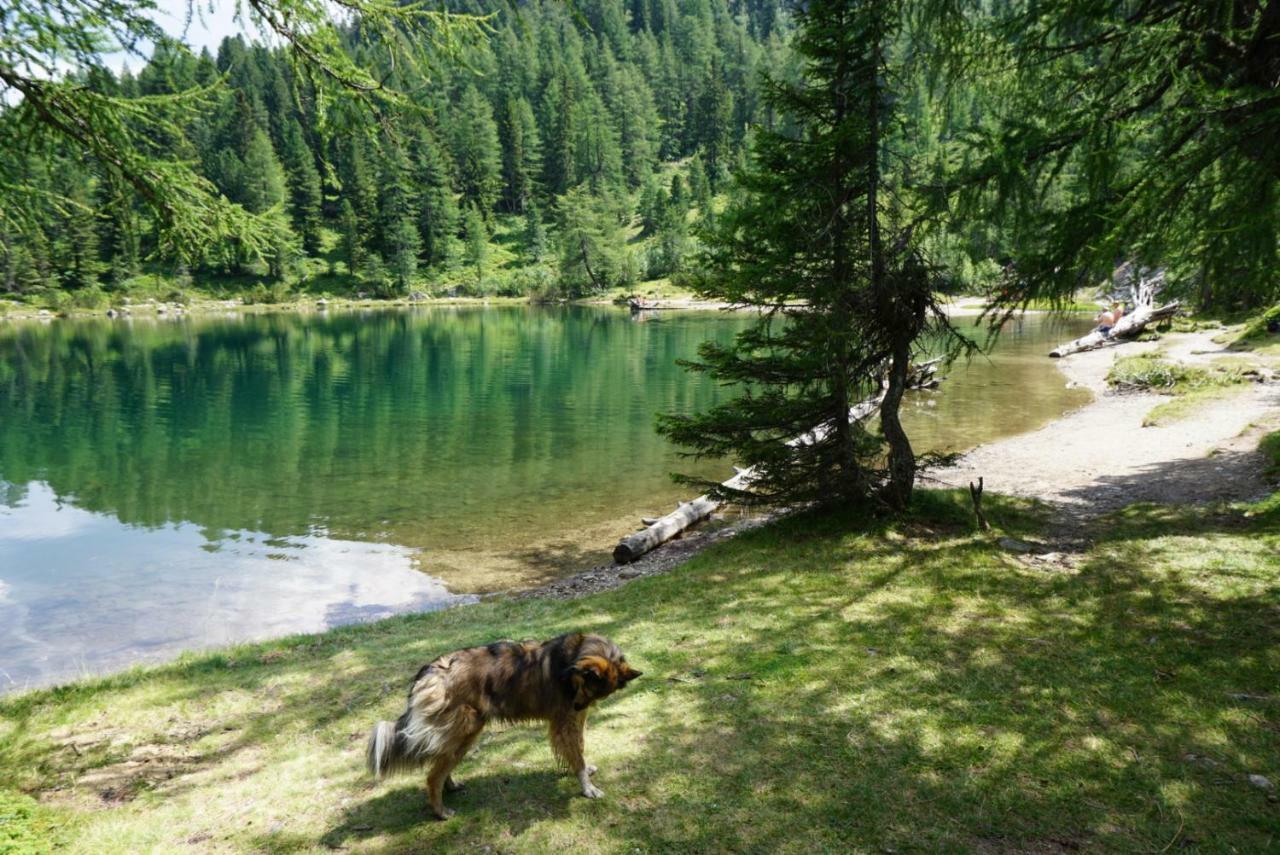 Historic Guesthouse Bircher B&B Apartments Near Sterzing Campo di Trens Exterior photo